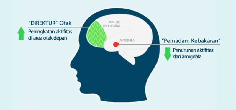 Infografik 04