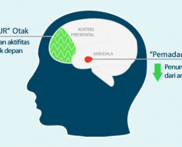 Infografik 04